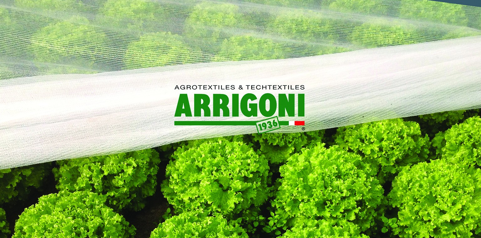 arrigoni lechuga|Arrigoni-1200x675|Arrigoni-varia|DIGITAL IMAGE|Arrigoni-frutales|Arrigoni-mallas-aplicaciones-600x290|Arrigoni-mallas-aplicaciones-600x290 (1)|ArrigoniLogo2|Arrigoni-Catalogo-2019